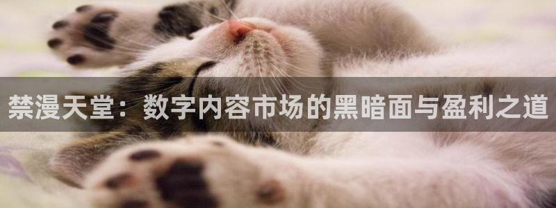 colamanage漫画官网：禁漫天堂：数字内容市场的黑暗面与盈利之道