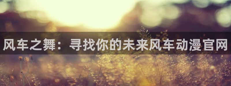 风车动漫网官网入口：风车之舞：寻找你的未来风车动漫官网