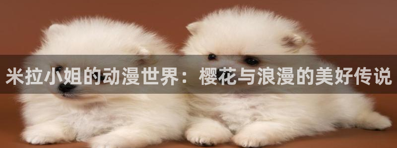 风车动漫网