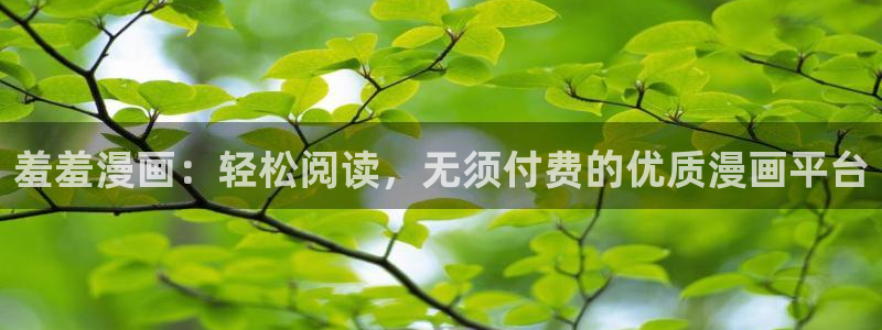 韩国漫画平台kakaopage