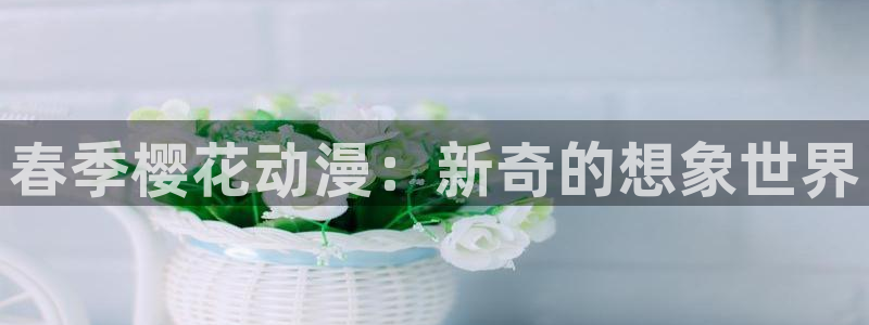 风车动漫网官网入口