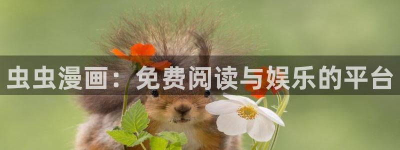 风车动漫官网入口老版本