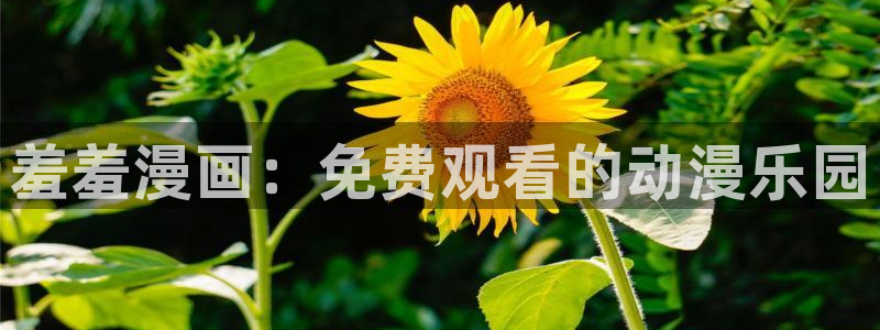 风车动漫官网网址