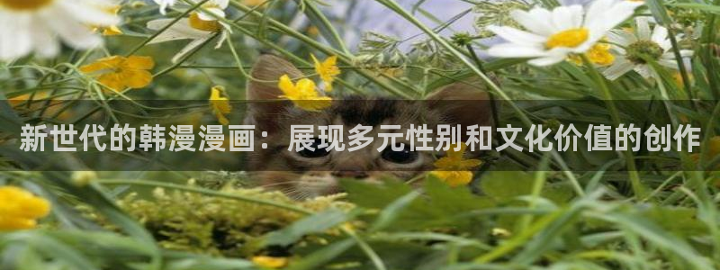 风车动漫官网入口老版本