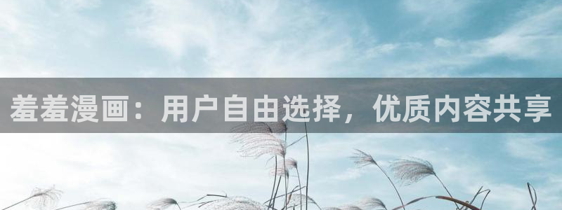 风车动漫下载