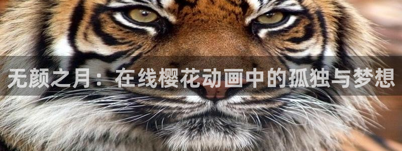 colomanage漫画官网