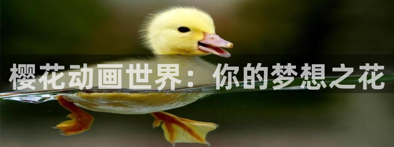 风车动漫omofun