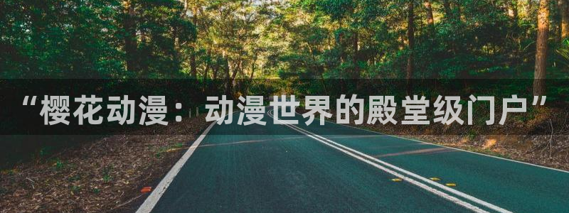 风车动漫网