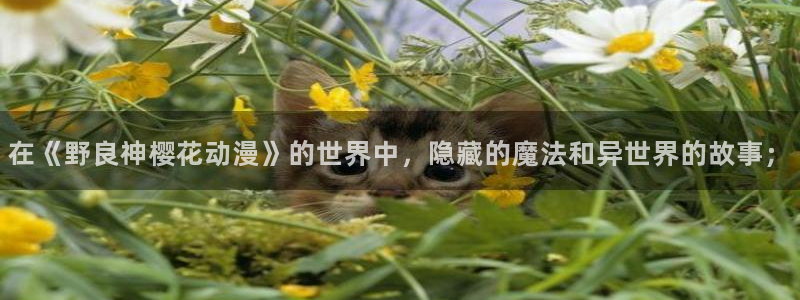 风车动漫