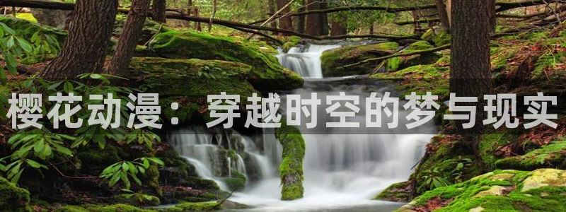 风车动漫下载网