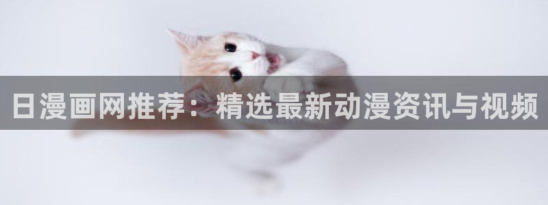 风车动漫正版网