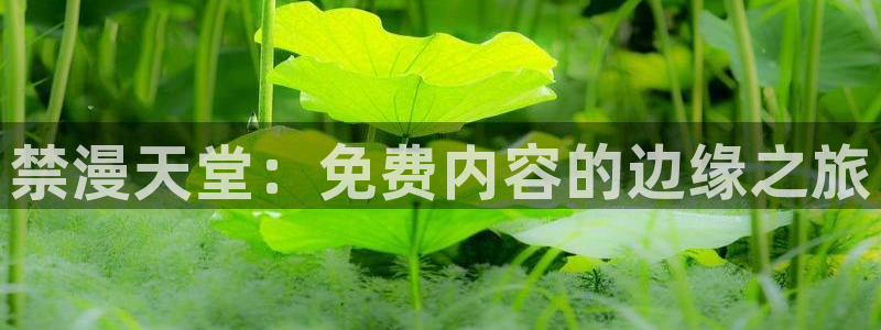 风车动漫官网樱花动漫