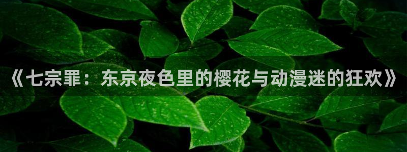 风车动漫正版网：《七宗罪：东京夜色里的樱花与动漫迷的狂欢》