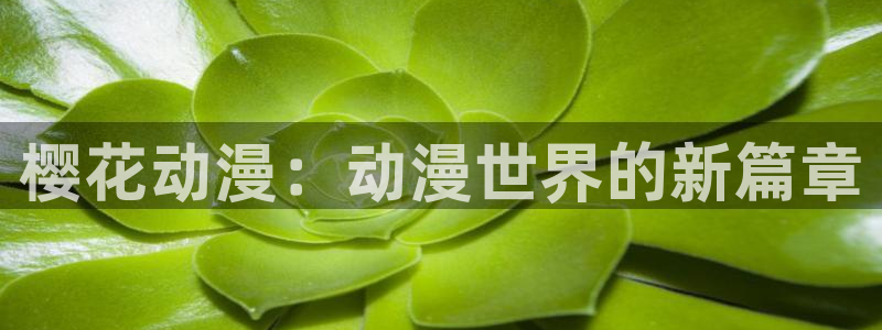 在线动画动漫下载风车动漫：樱花动漫：动漫世界的新篇章