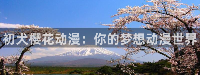 风车动漫下载网
